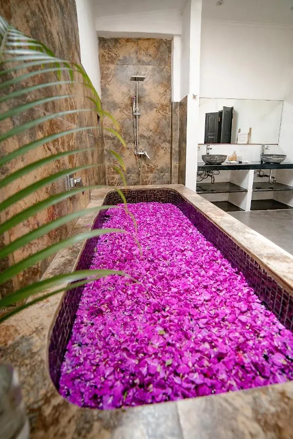 Saga Villas Oasis Семиньяк 0*,